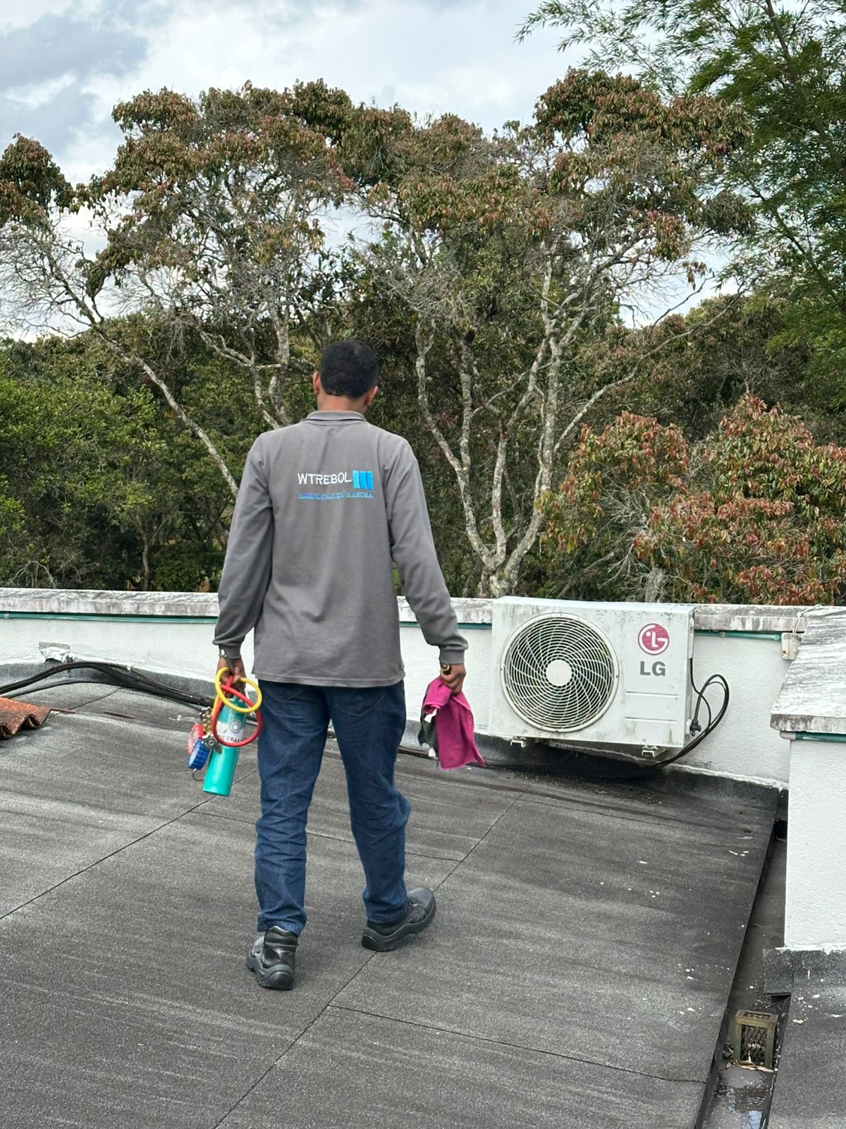 Reparación Especializada y Diagnóstico Avanzado